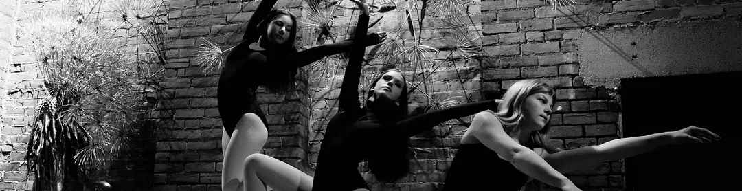 THE STUDIO Dance & Wellness