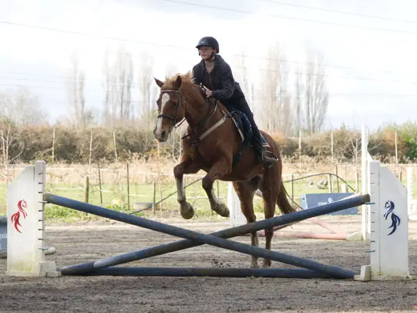 Pony Tales Riding School