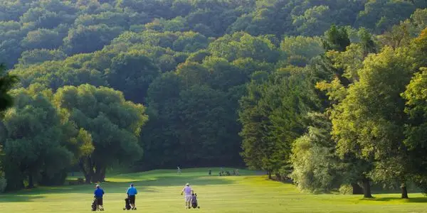 St Davids Golf Club