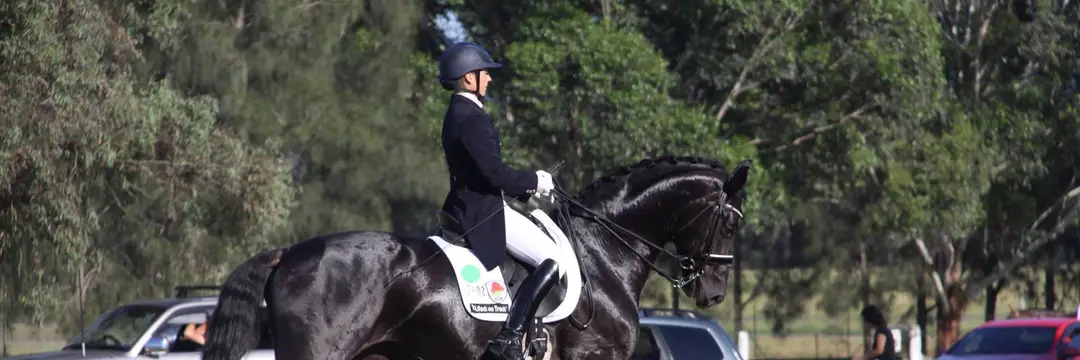 C & J Dierks Advanced Dressage Training Centre