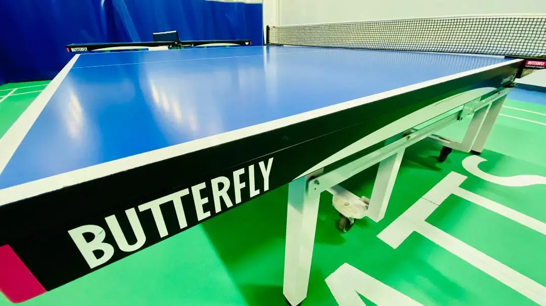 Table Tennis Club in Mississauga