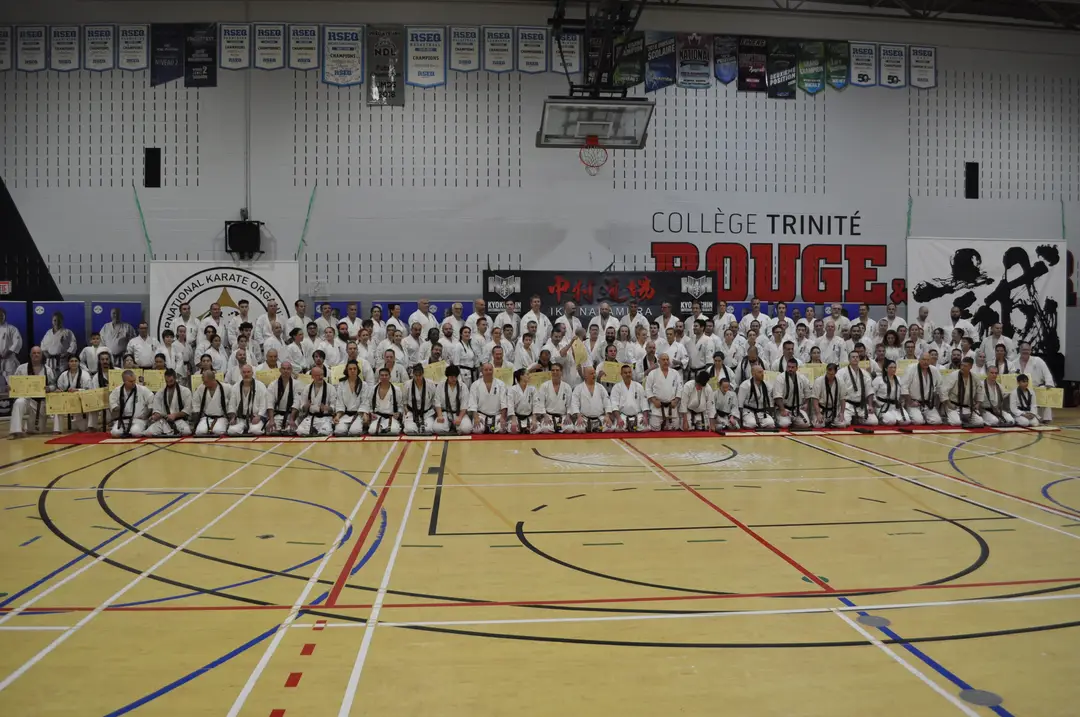School Karate Alain Roy