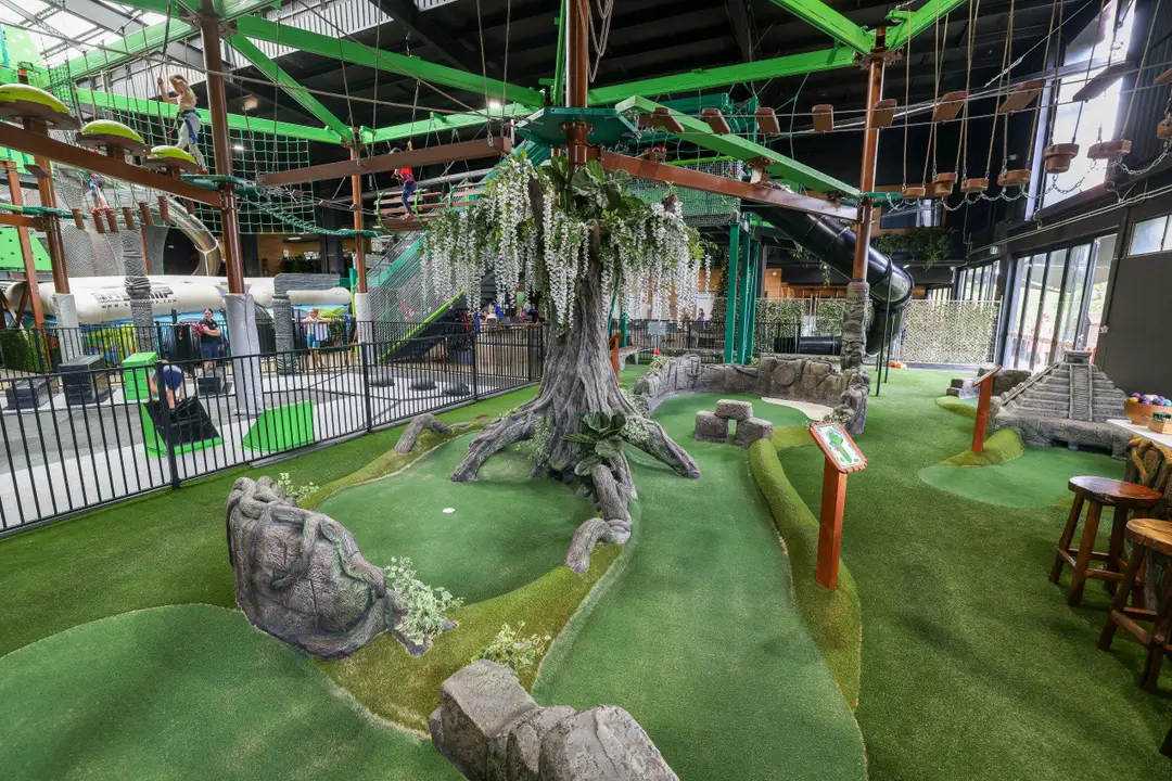The Jungle Adventure Play
