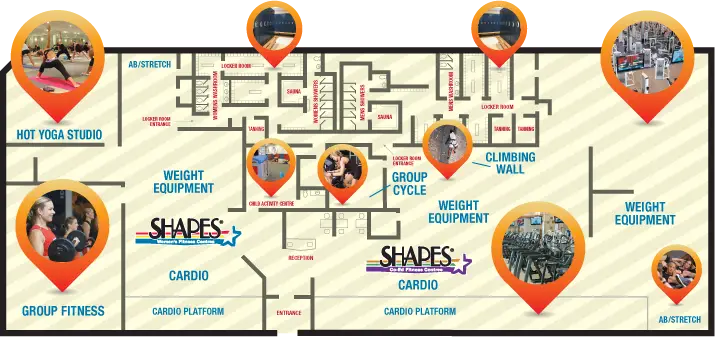 Shapes Fitness McPhillips
