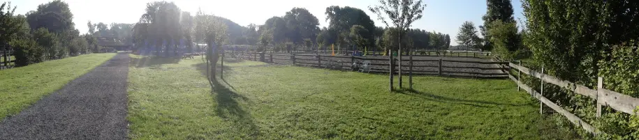 Ludo Poney