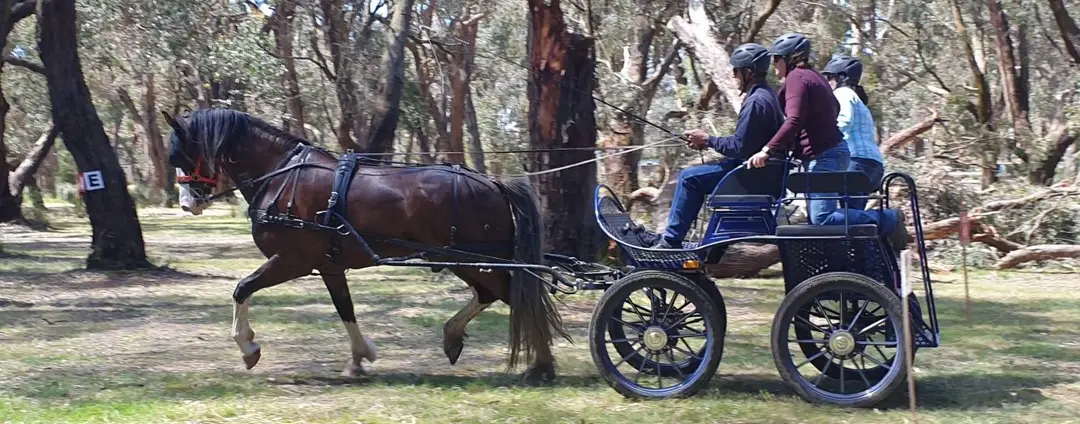 Mornington Peninsula Pleasure Harness Club