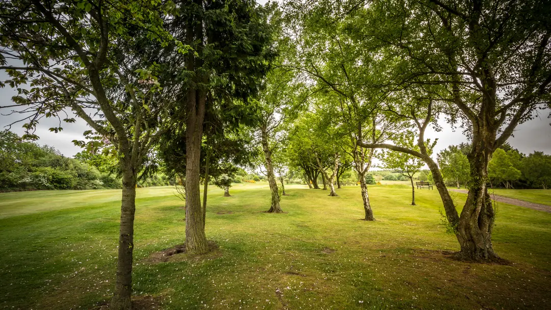 South Moor Golf Club
