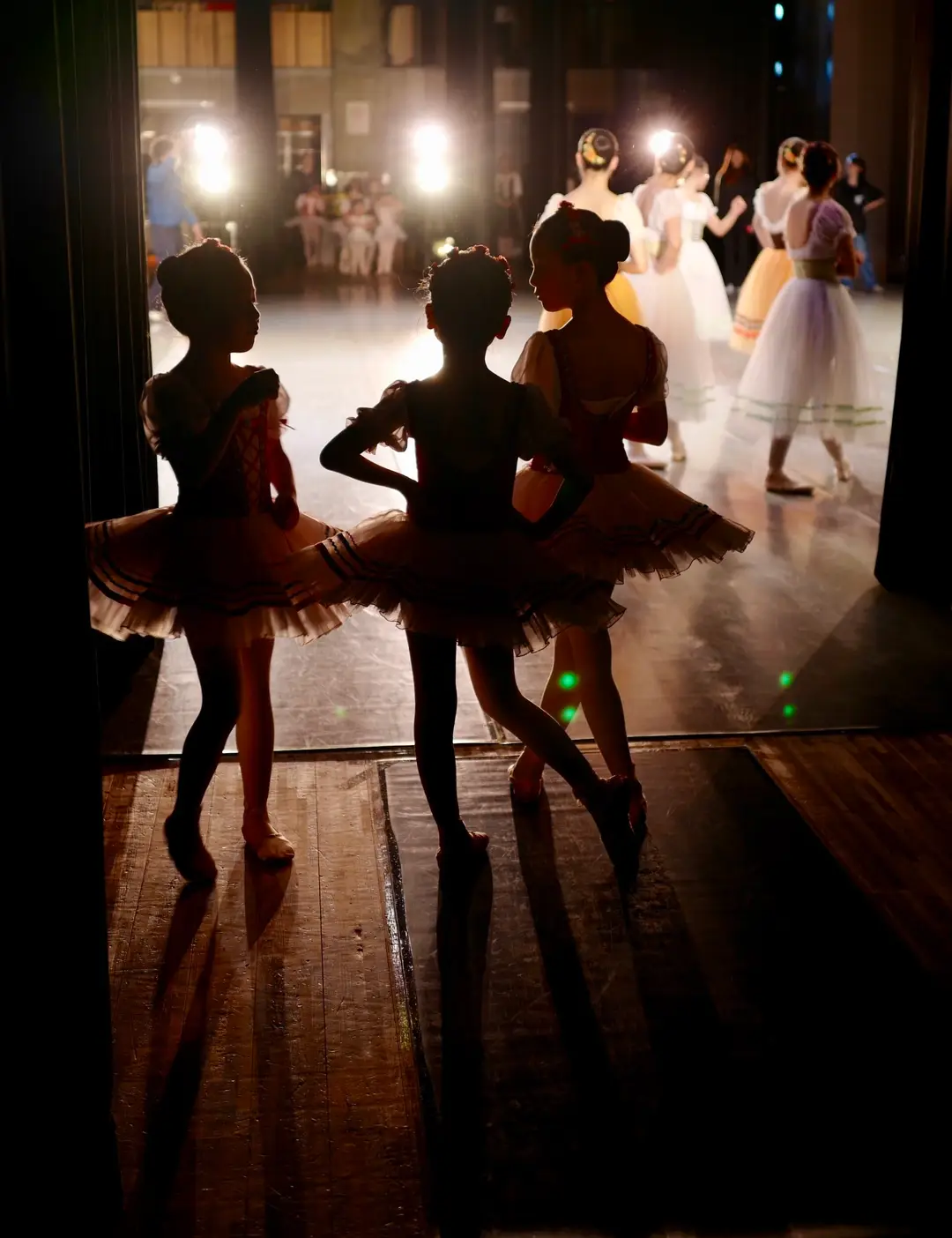 Dynamic Dance and Fitness