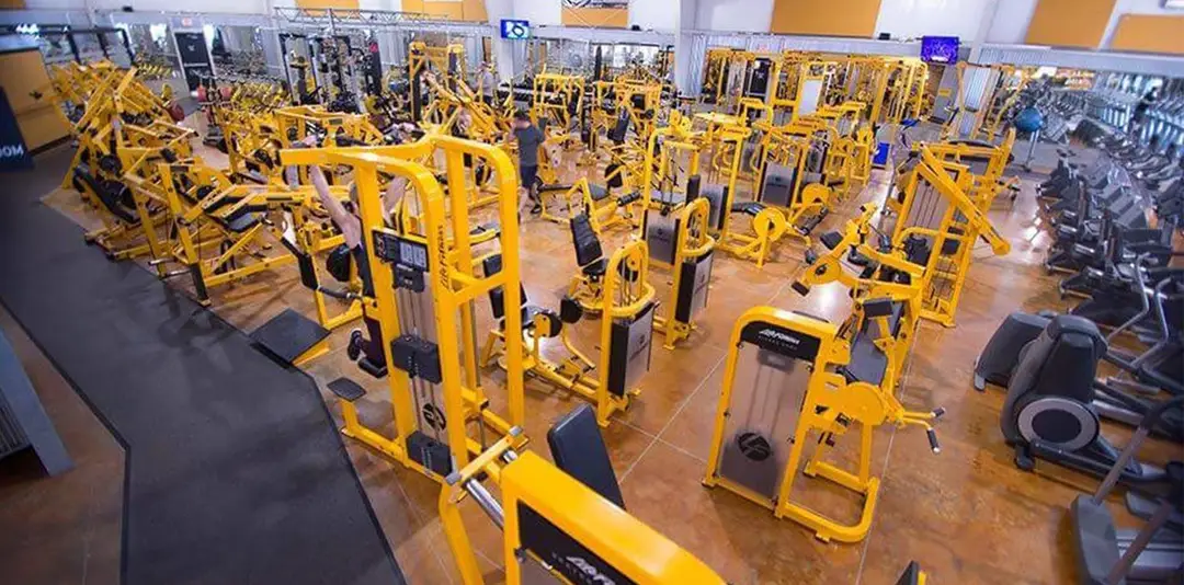 Q Fitness