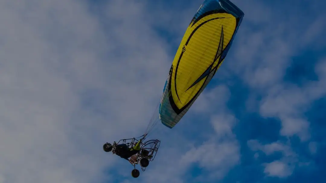 Rush To Fly