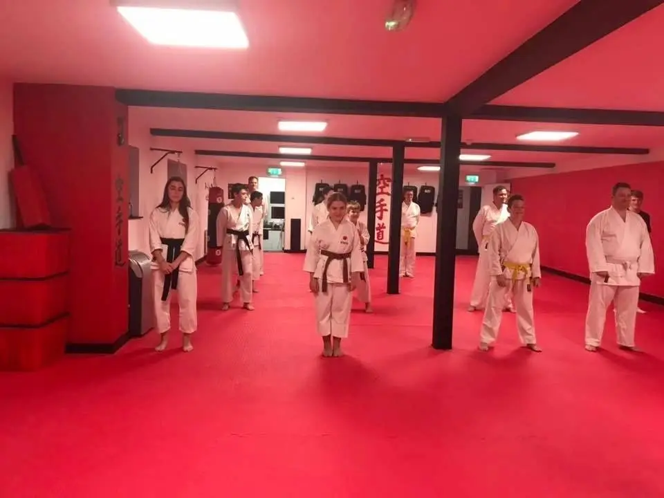 Bushido shotokan karate/Bushido Vault Krav Maga