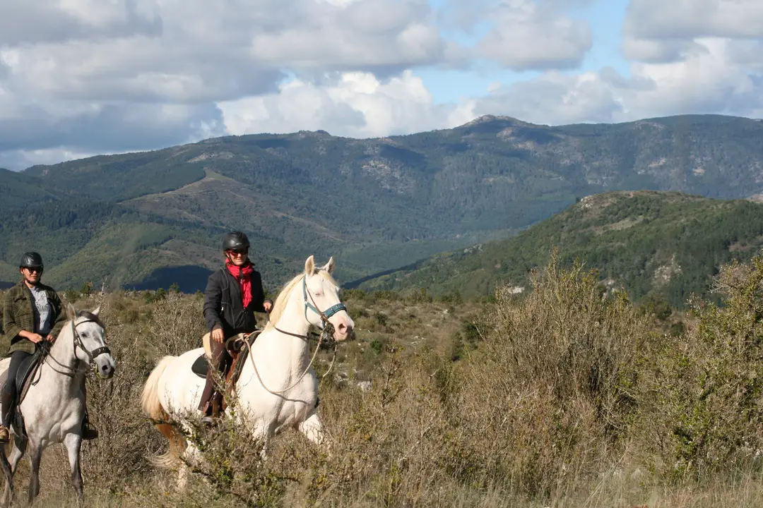 Les Cavaliers Du Reg, Promenades And Hiking On Horseback And Carriage