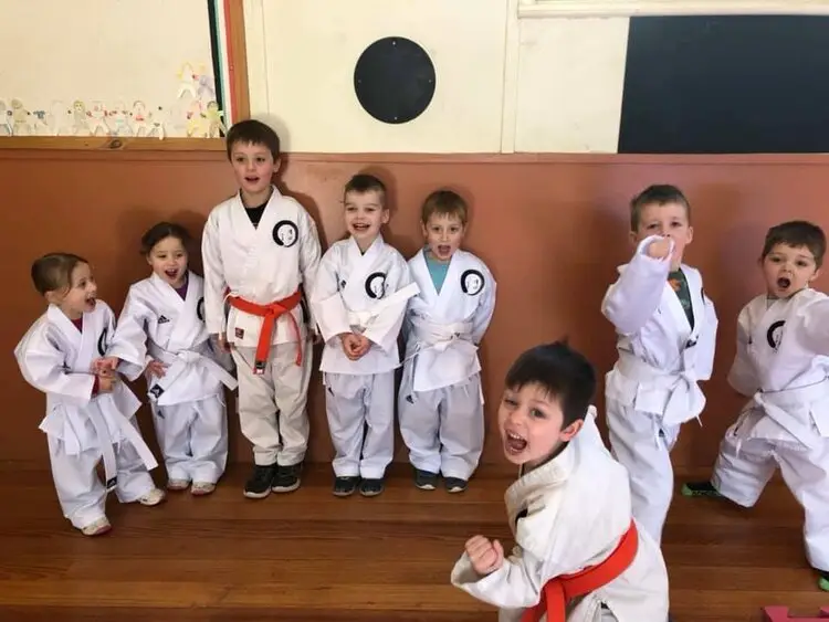 Kiyoshin Karate Association