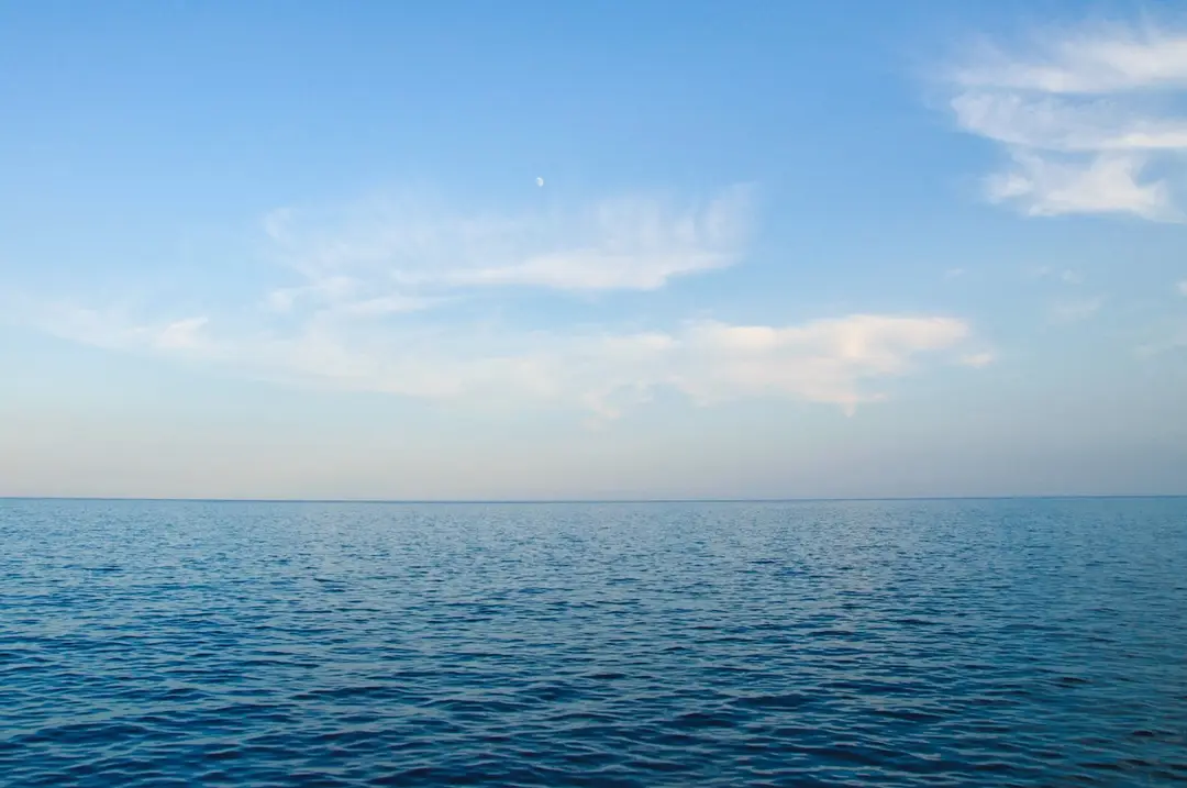 Ocean Runner Charters