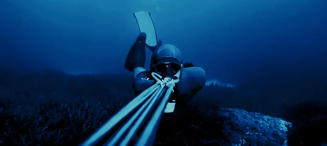 FLYINGFISH SPEARFISHING