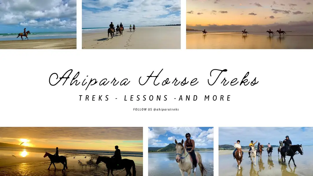 Ahipara Horse Treks