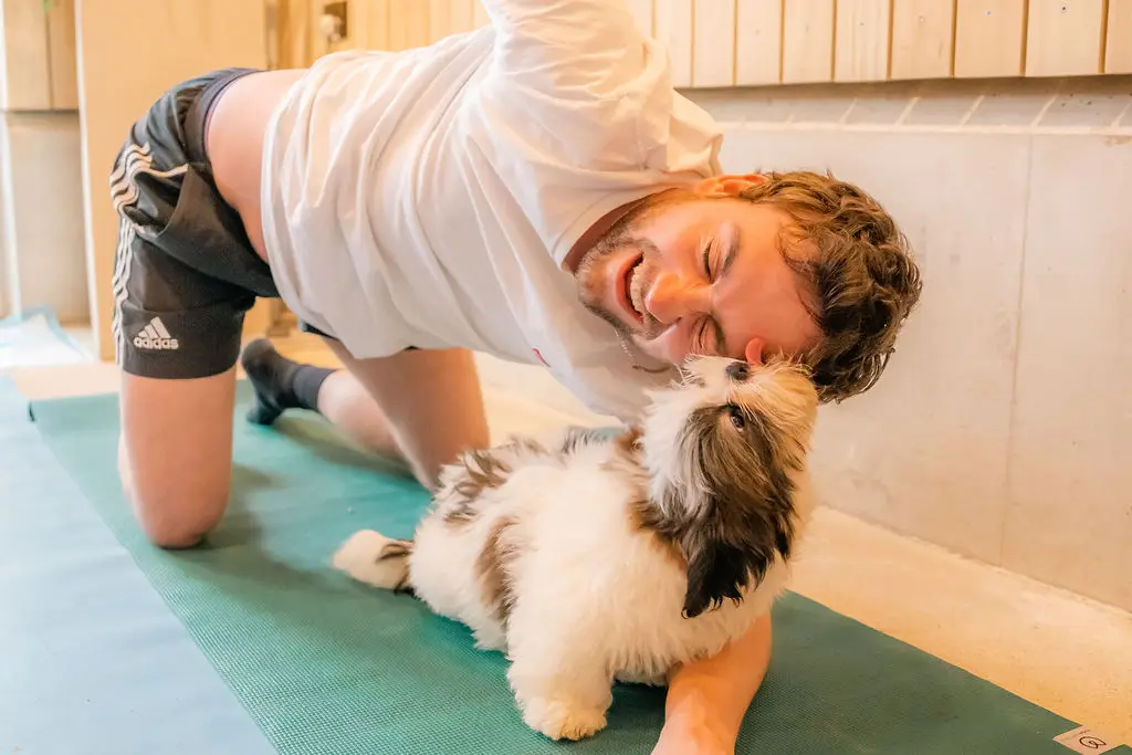 BarePaws Yoga Ltd