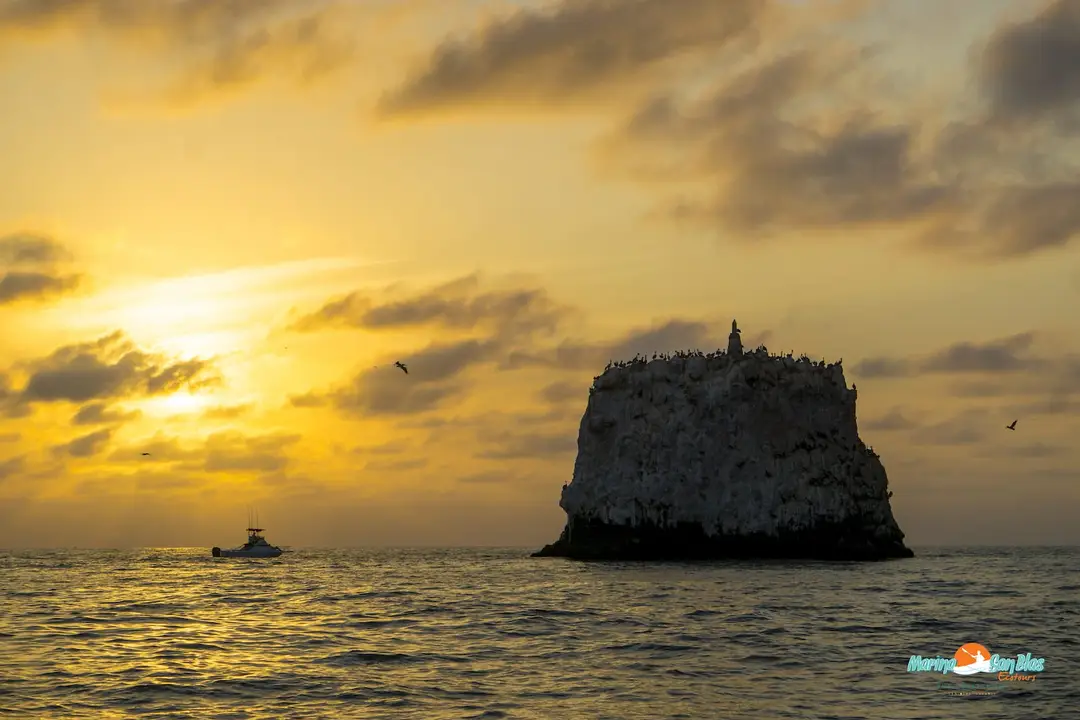 Marina San Blas Ecotours "Pesca Deportiva y Ecotours" Avistamiento Ballenas