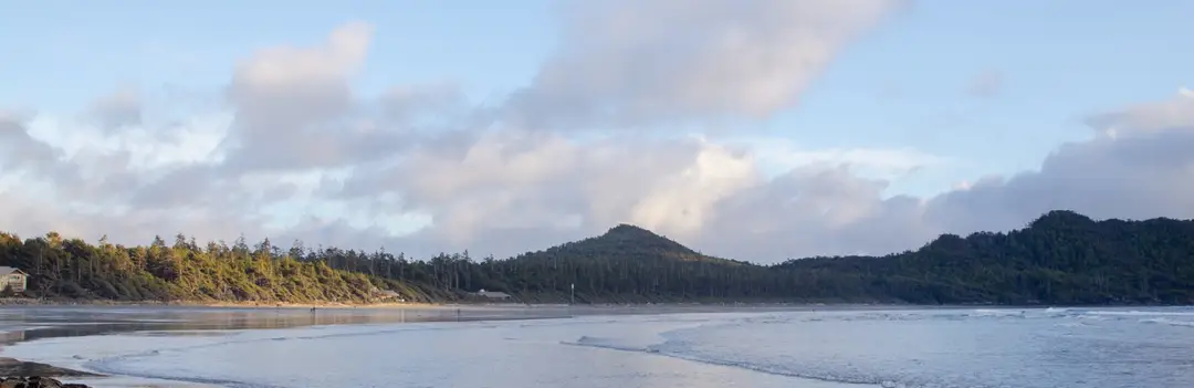 The Surf Club