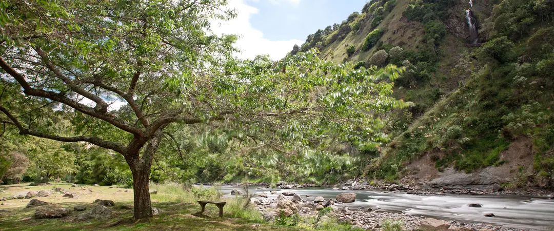 River Valley