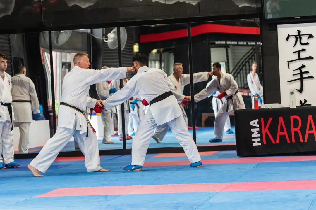 HMA Karate
