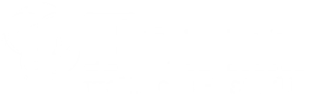 Form. Wellness + Studio