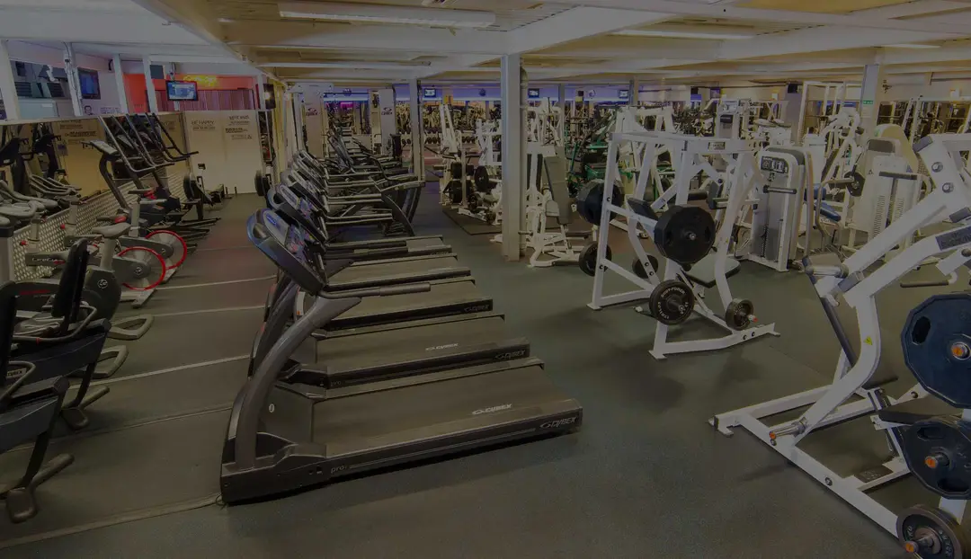 Majestic Gym