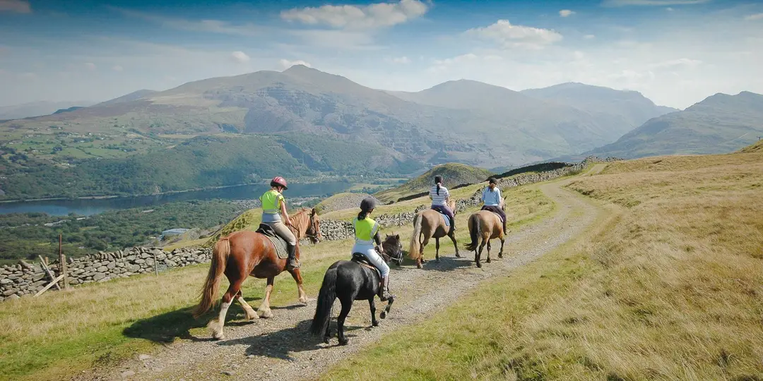 Snowdonia Riding Stables
