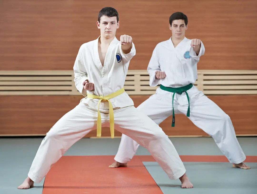Hiltz Taekwon-do