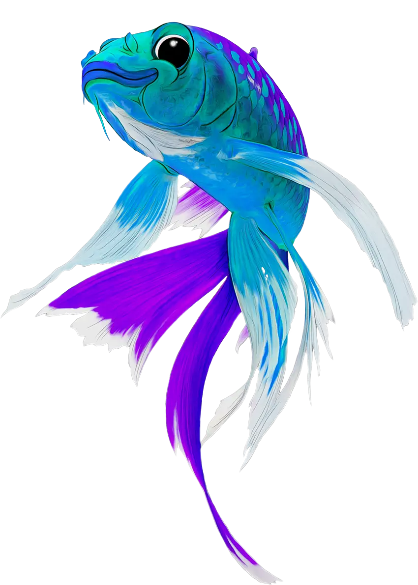 Blue Fish Pilates