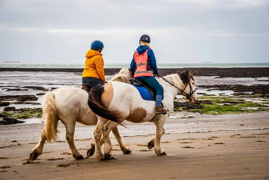 Sally's Riding School