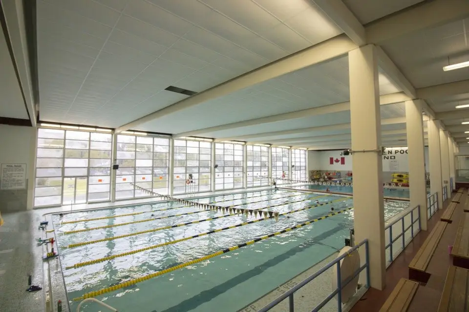 BISONSWIMMING