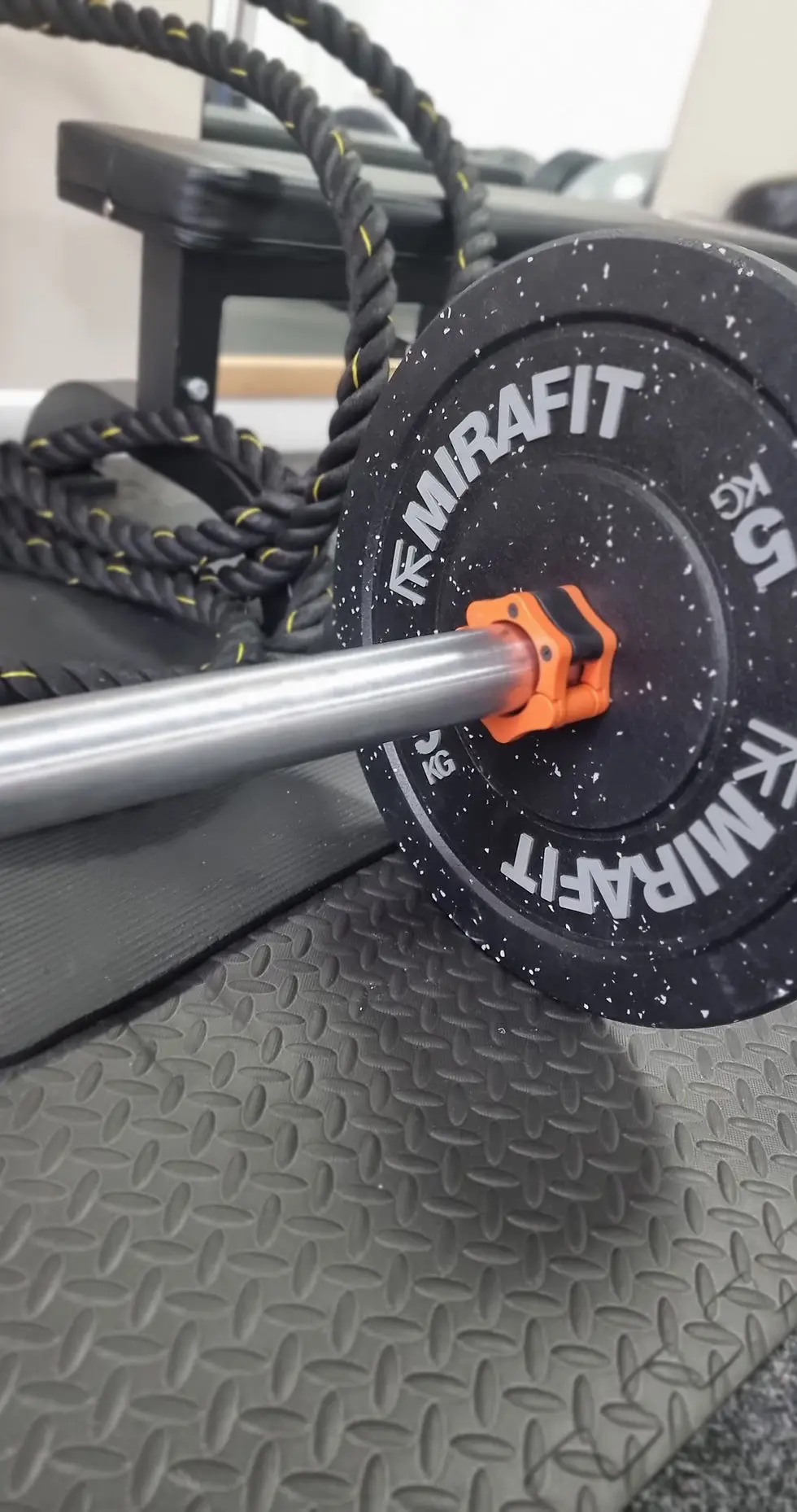 VT Fitness Training