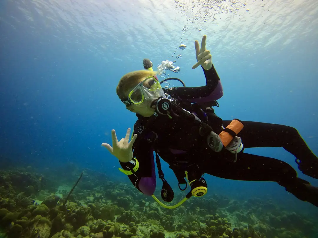 Scuba Regs