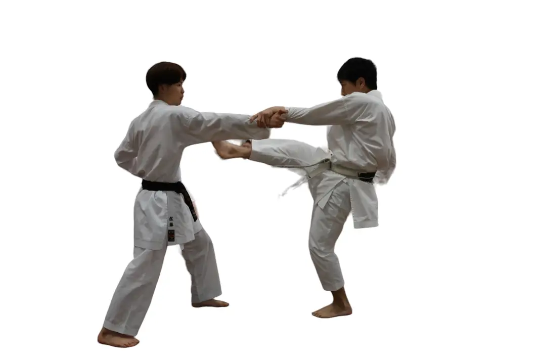 TSKF Sherwood Shotokan Karate