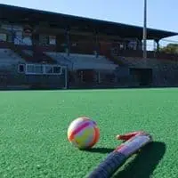 The Sporting Globe Stadium Turf