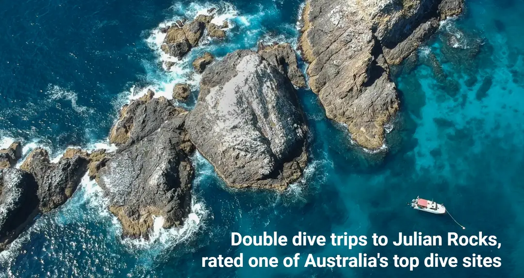 Blue Bay Divers