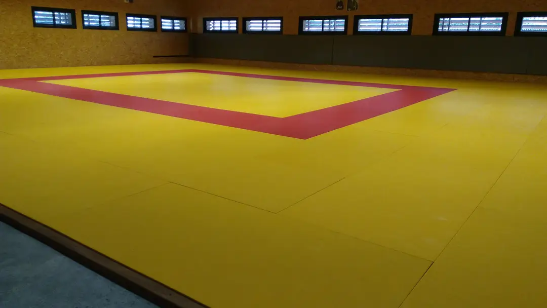 École de Judo de Briatexte