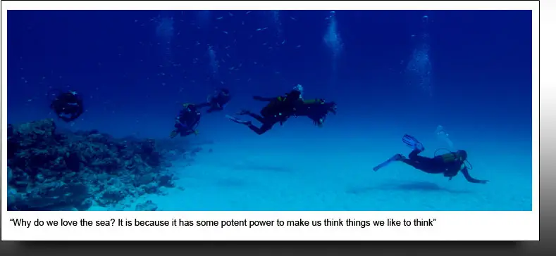 Absolute Scuba