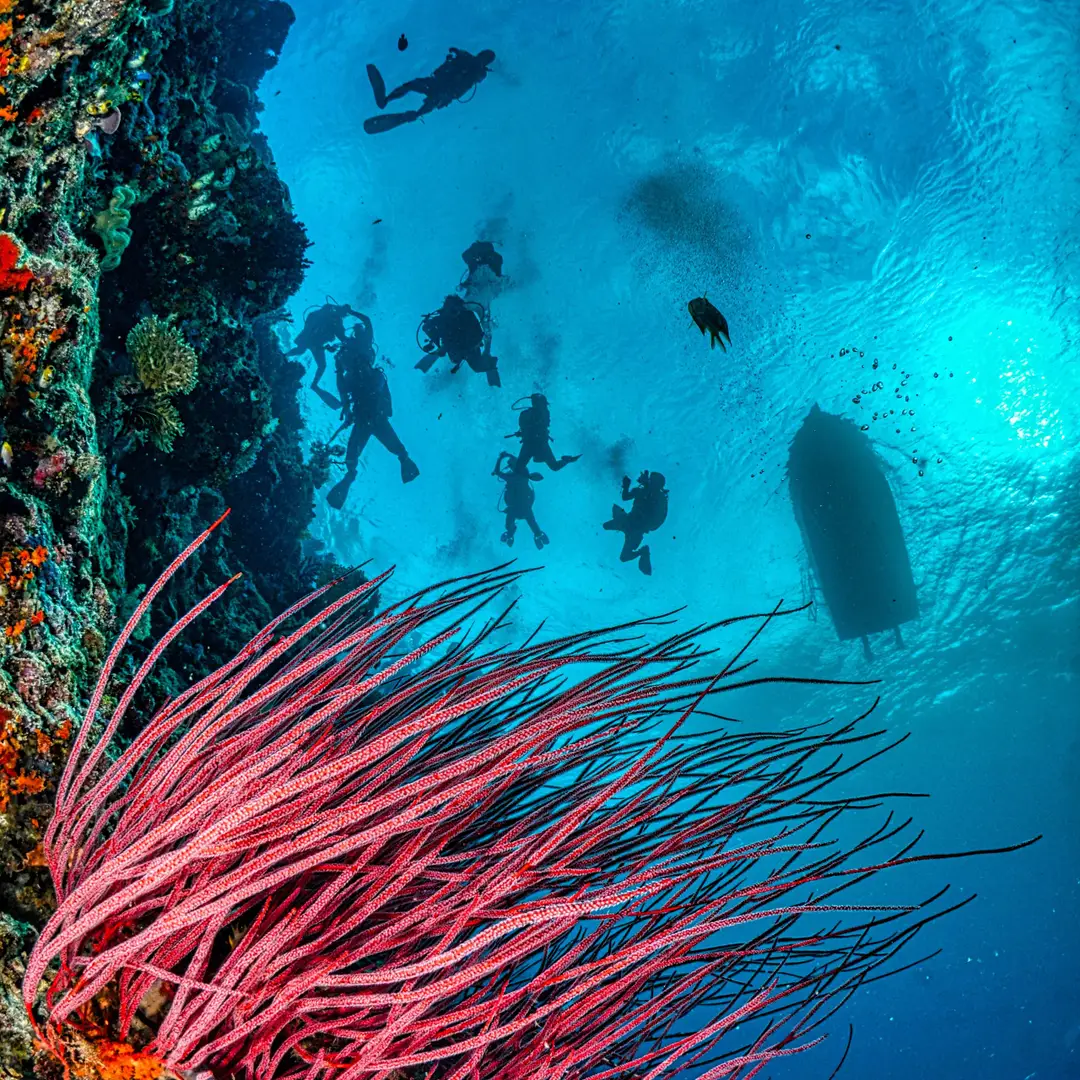 Marlin's Scuba Inc
