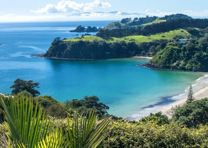 Waiheke Bridge Club