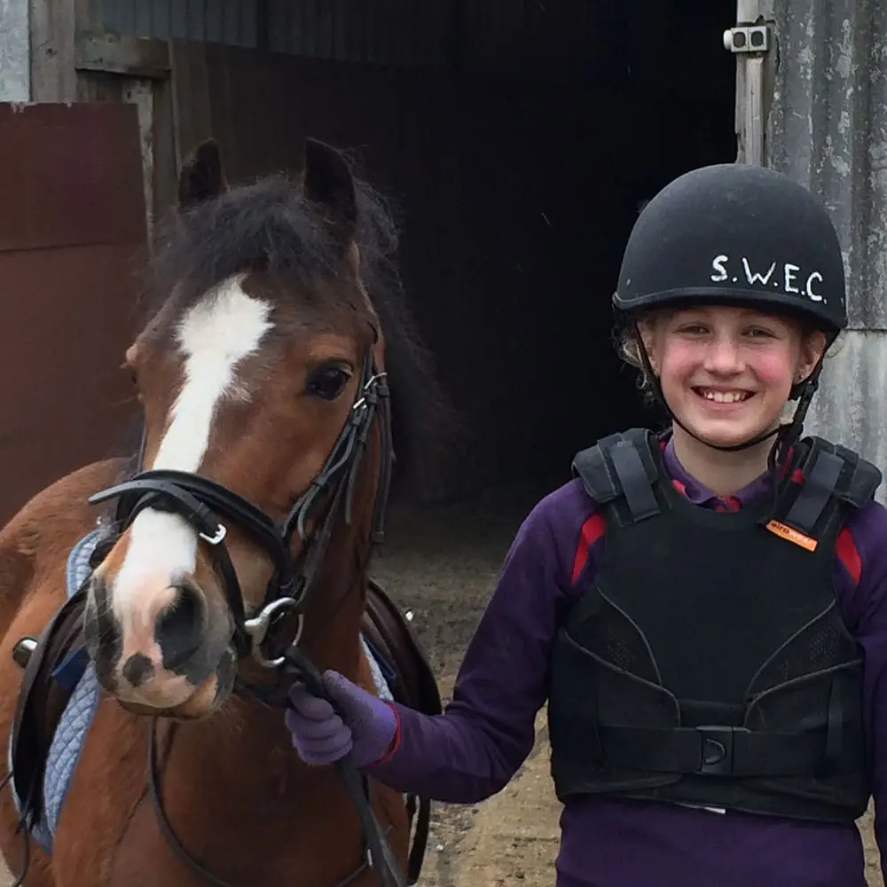 South Weylands Equestrian Centre
