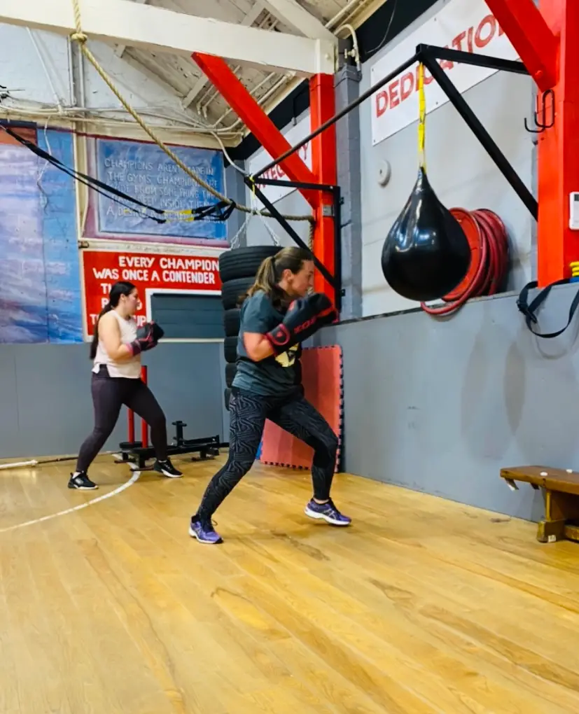 Revenge Boxing