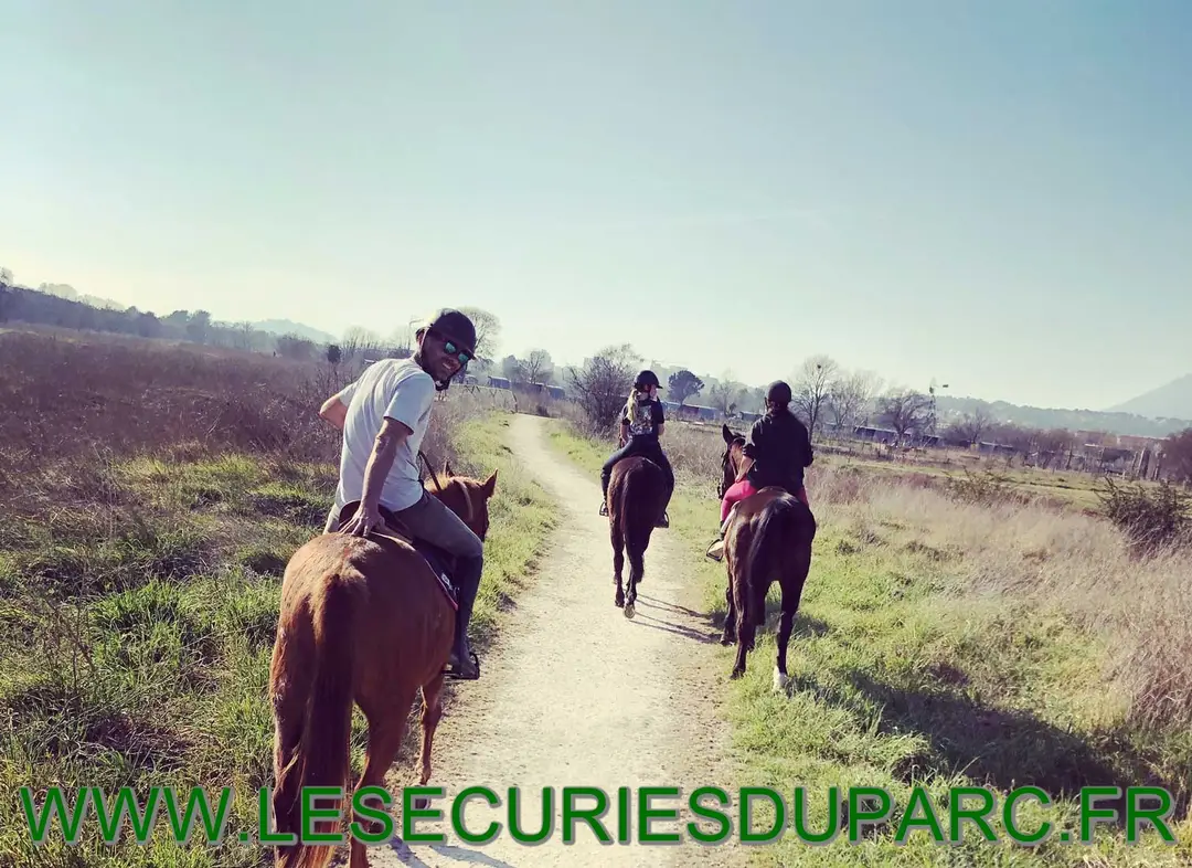 less air curies do park