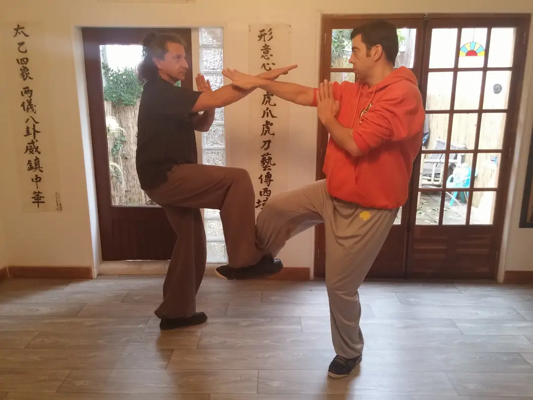 Tai Yin Wing Chun