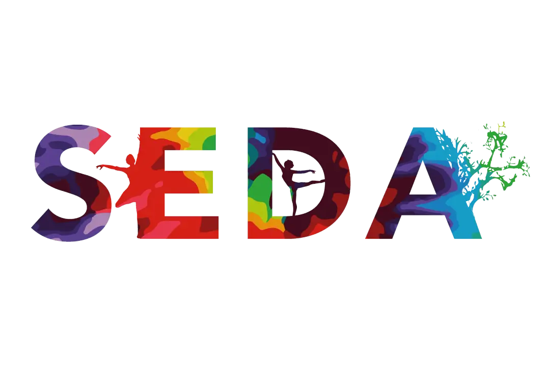 SEDA Academy of Arts
