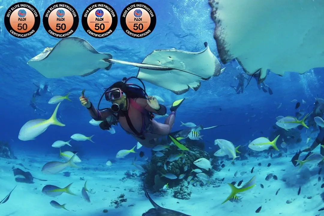 My Dive Center