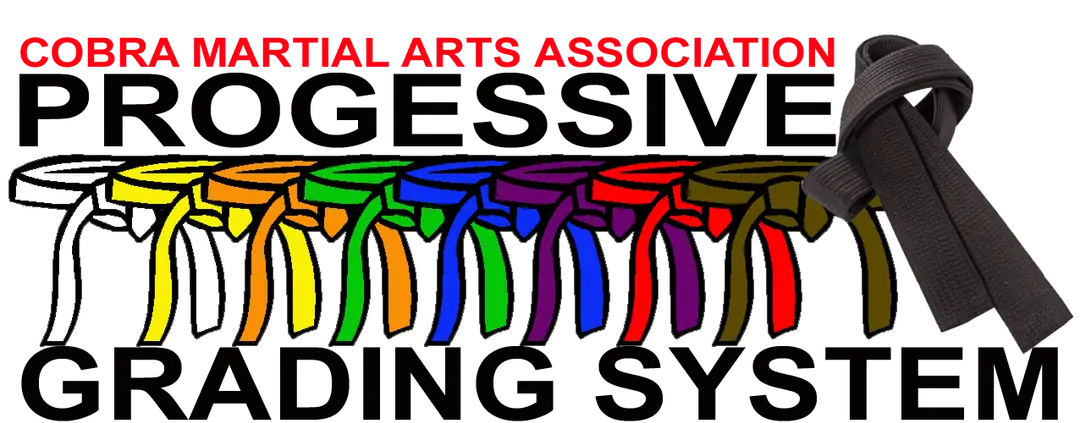 RED LION SCHOOL OF MARTIAL ARTS