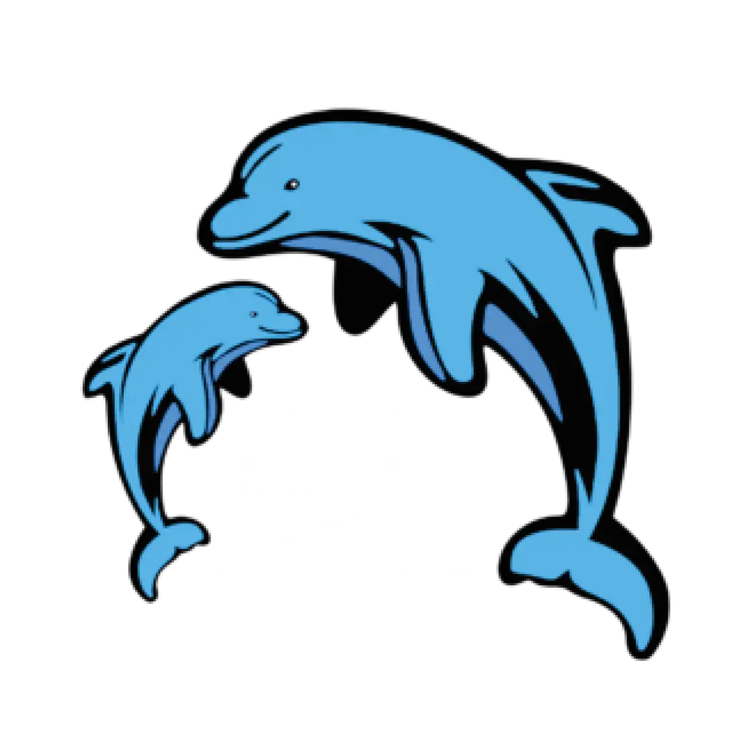 Mini Dolphins