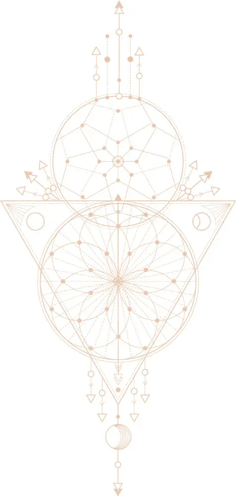 Mind Body Collective